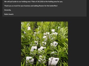 2023 green school app final (2)